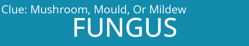 Mushroom, Mould, Or Mildew