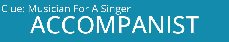 Musician For A Singer