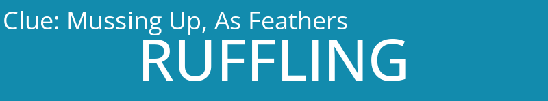 Mussing Up, As Feathers