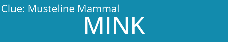 Musteline Mammal