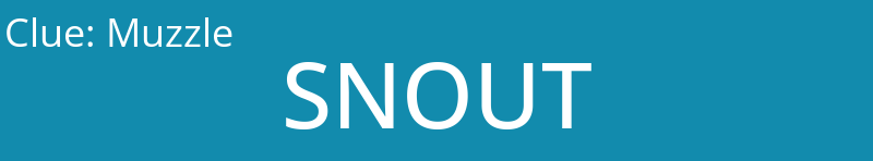 Muzzle