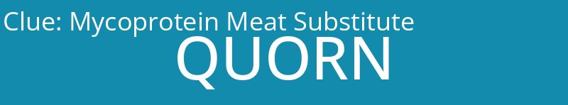 Mycoprotein Meat Substitute