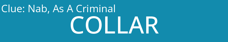 Nab, As A Criminal