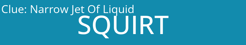 Narrow Jet Of Liquid