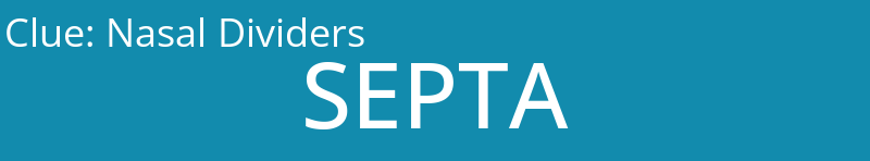 Nasal Dividers