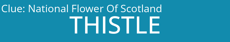 National Flower Of Scotland