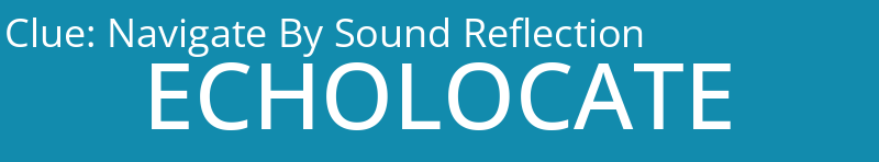 Navigate By Sound Reflection