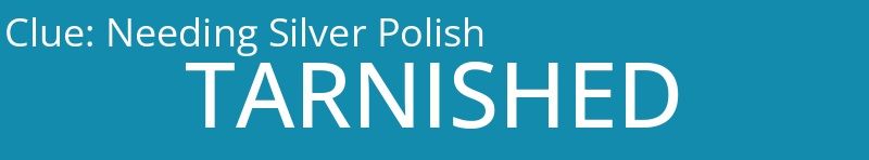 Needing Silver Polish