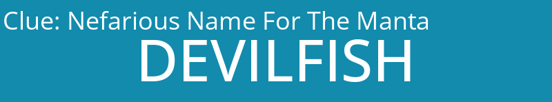 Nefarious Name For The Manta