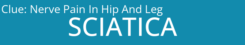 Nerve Pain In Hip And Leg