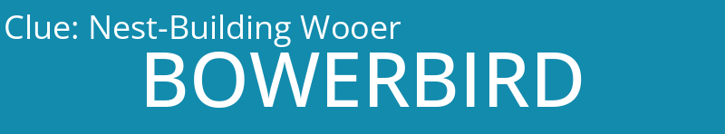 Nest-Building Wooer