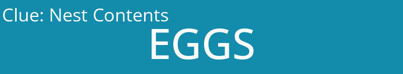 Nest Contents