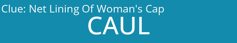 Net Lining Of Woman's Cap