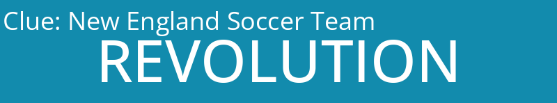 New England Soccer Team