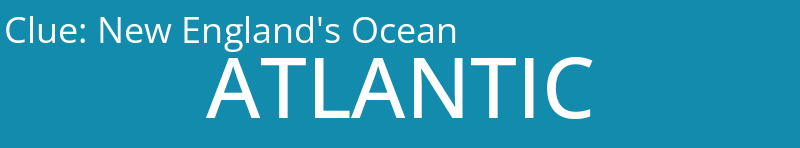 New England's Ocean