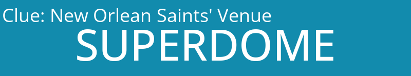 New Orlean Saints' Venue