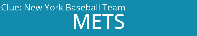 New York Baseball Team