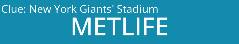 New York Giants' Stadium