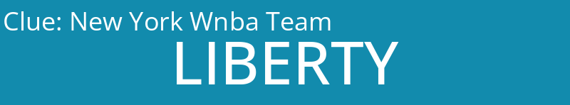 New York Wnba Team