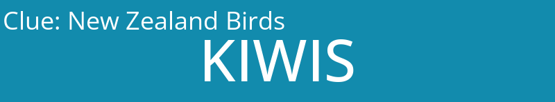 New Zealand Birds
