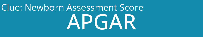 Newborn Assessment Score