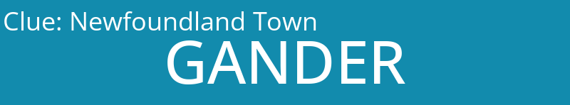 Newfoundland Town
