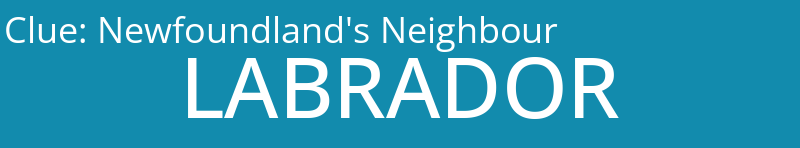 Newfoundland's Neighbour