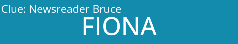 Newsreader Bruce