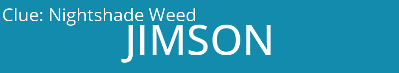 Nightshade Weed