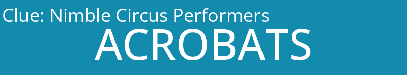 Nimble Circus Performers