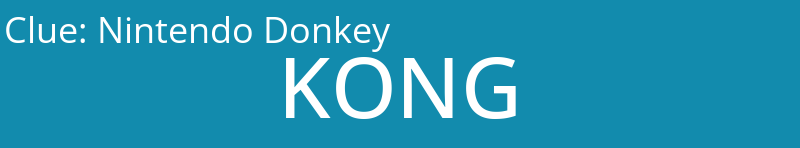 Nintendo Donkey