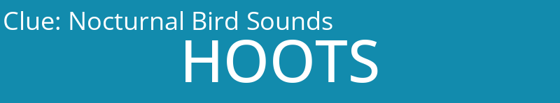 Nocturnal Bird Sounds
