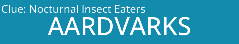 Nocturnal Insect Eaters