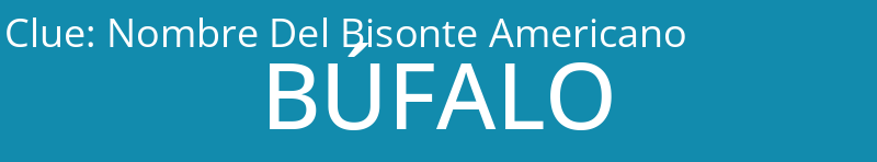 Nombre Del Bisonte Americano