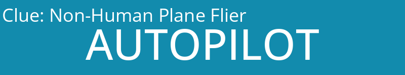 Non-Human Plane Flier