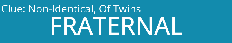 Non-Identical, Of Twins