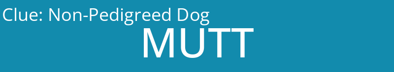 Non-Pedigreed Dog
