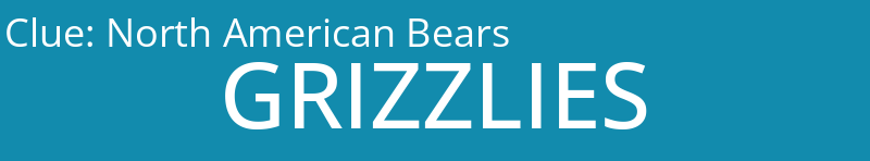 North American Bears