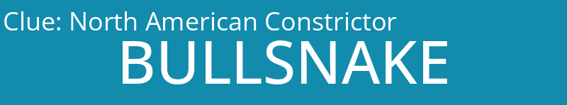 North American Constrictor