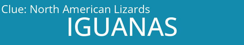 North American Lizards