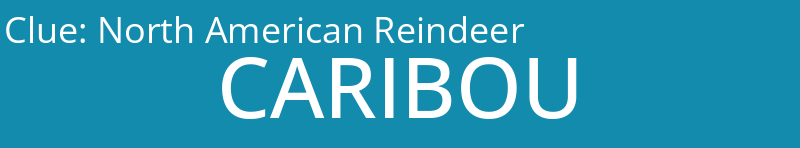 North American Reindeer