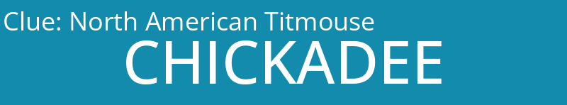 North American Titmouse