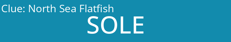 North Sea Flatfish