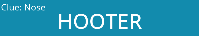 Nose