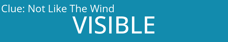 Not Like The Wind