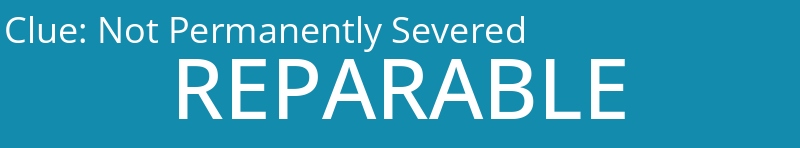 Not Permanently Severed