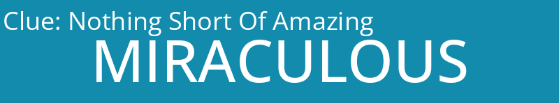 Nothing Short Of Amazing