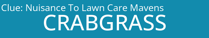 Nuisance To Lawn Care Mavens
