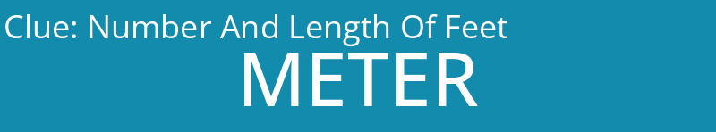 Number And Length Of Feet