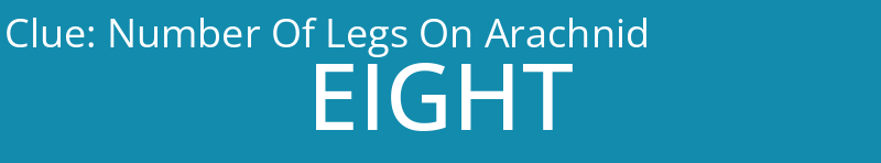 Number Of Legs On Arachnid